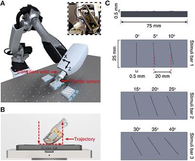 Tactile Decoding of Edge Orientation With Artificial Cuneate Neurons in Dynamic Conditions